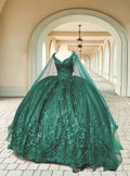 3D Floral Metallic Lace Quinceañera Gown - Luzilly Bridal & Apparel