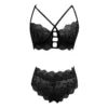 Ladymate ODM/OEM Conjunto Lenceria Erotica Woman Wirefree Lace Bra Sets Transparent Sheer Lace Bra Brief Set Sexy Lingerie Sets