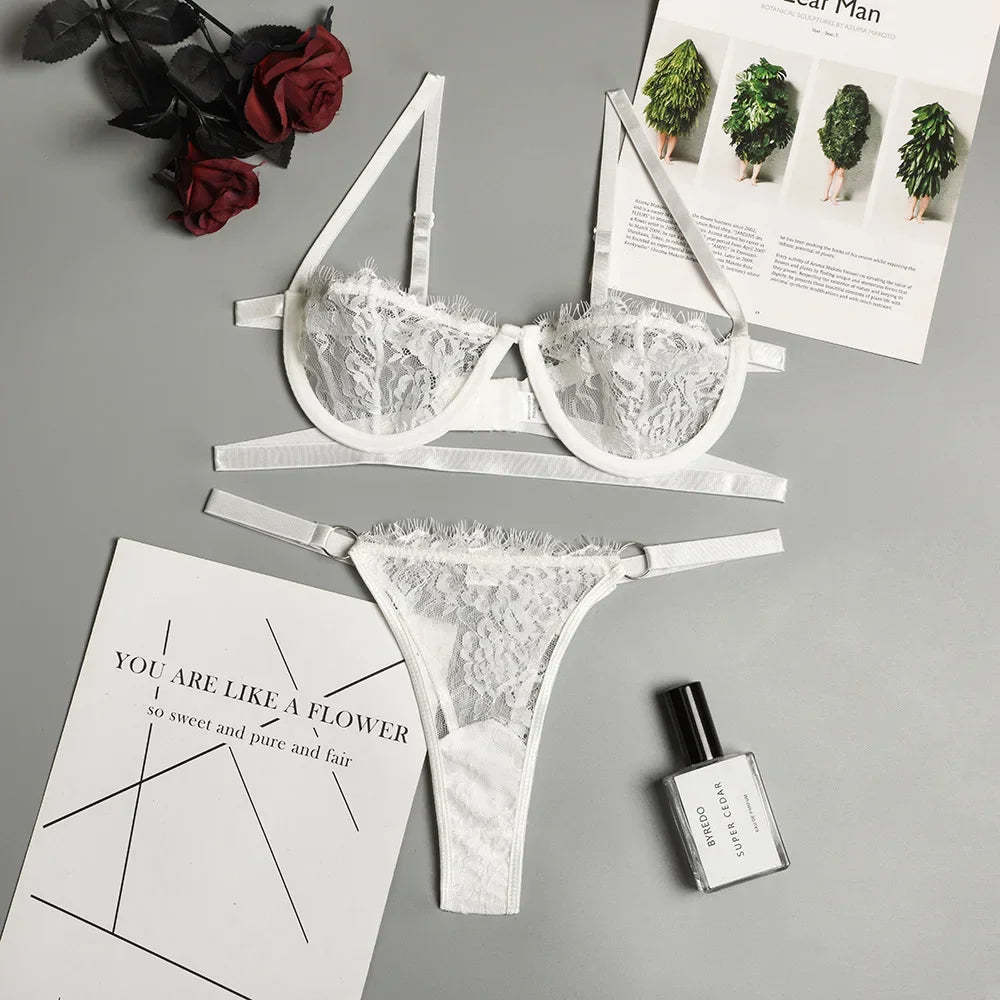 Embroidered Sheer Lace Bra & Brief Set