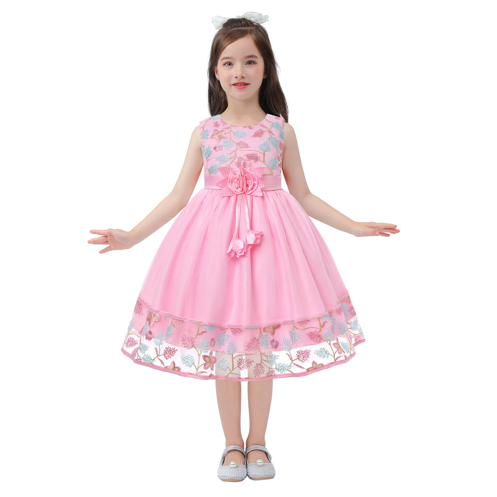 Embroidered Lace Princess Party Dress