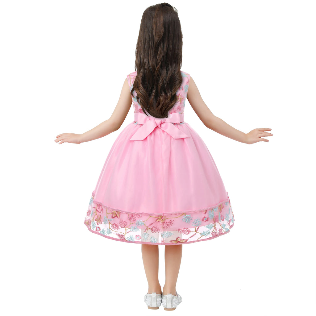 Embroidered Lace Princess Party Dress