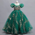 Mesh Princess Pageant Dress