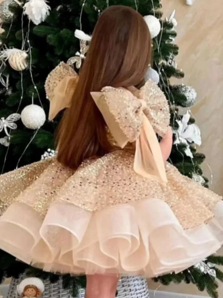 Puffy Satin Glitter Flower Girl Dress