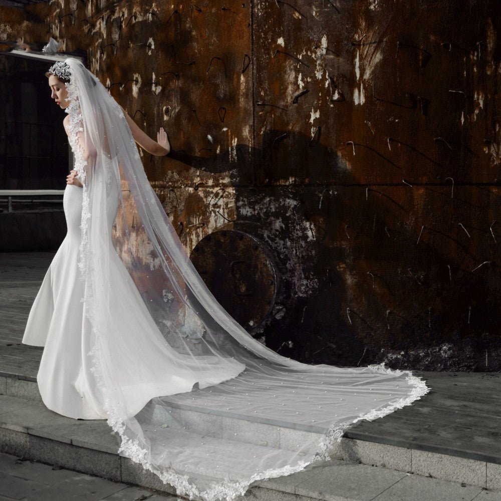 Long Lace Veil with Hair Comb - Luzilly Bridal & Apparel