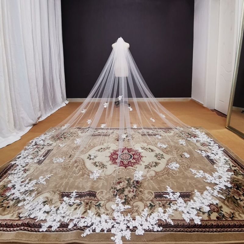 Long Cathedral Veil with Embroidered Appliqué - Luzilly Bridal & Apparel