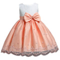 Clothing Flower Girls Dress Wedding Vestidos Tutu Party - Luzilly Bridal & Apparel