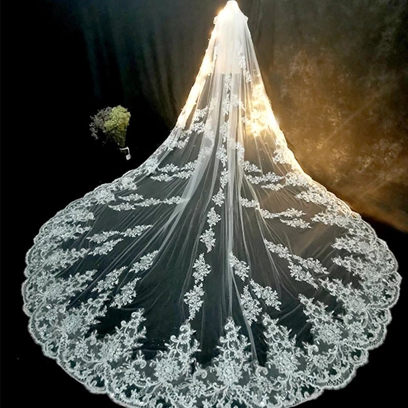 Elegant Lace Appliqué Cathedral-Length Wedding Veil - Luzilly Bridal & Apparel