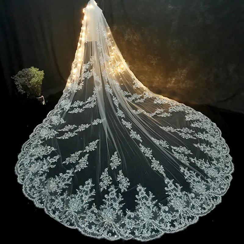 Elegant Lace Appliqué Cathedral-Length Wedding Veil - Luzilly Bridal & Apparel