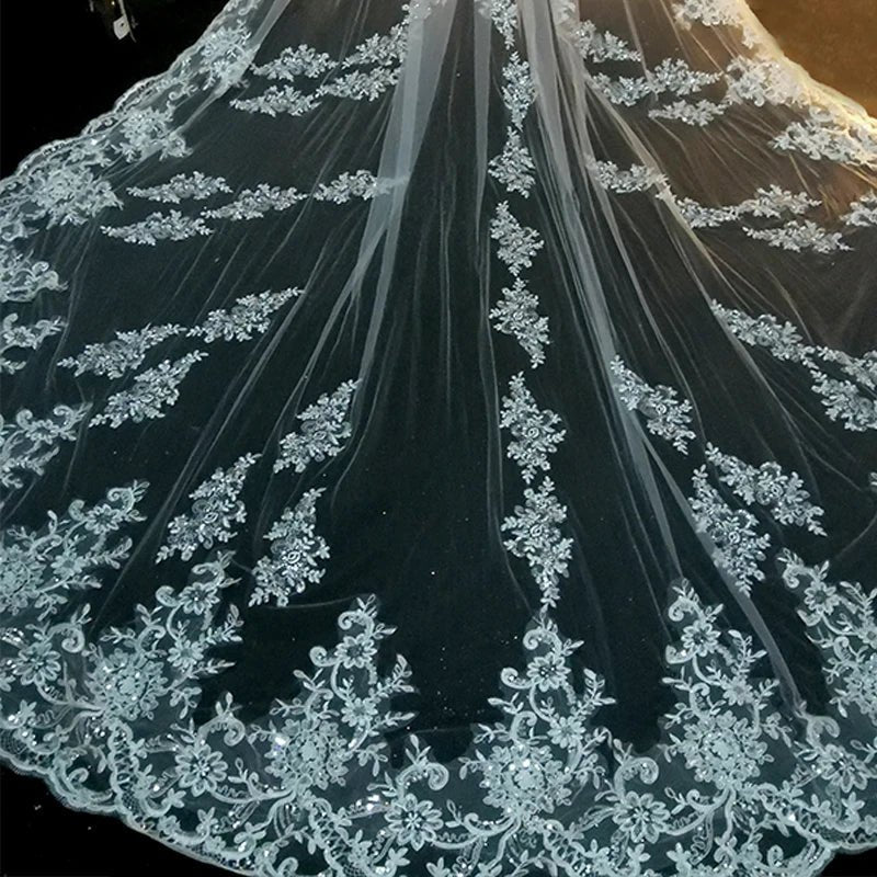 Elegant Lace Appliqué Cathedral-Length Wedding Veil - Luzilly Bridal & Apparel