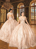 Floral Glitter Jewel-Neckline Quinceañera Gown - Luzilly Bridal & Apparel