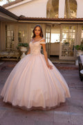 Juliet 1430 Dress Quinceanera Ball Gown Embroidered Applique Glitter Tulle - Luzilly Bridal & Apparel