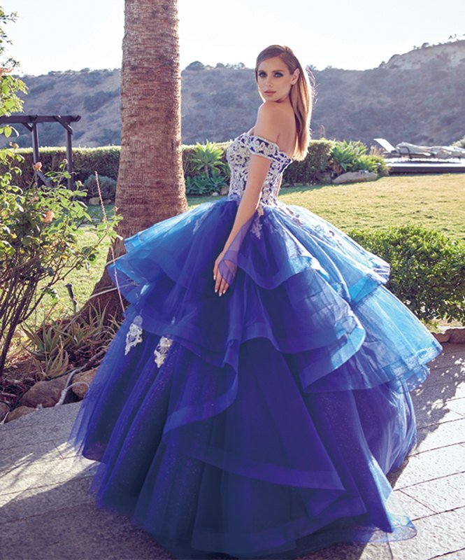 Juliet 1432 Dress Quinceanera Ball Gown Metallic Embroidery Glitter Tulle - Luzilly Bridal & Apparel