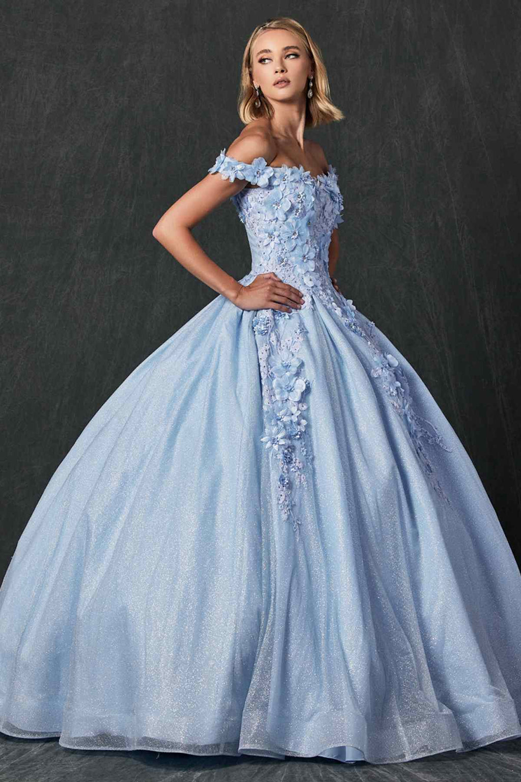 Juliet 1433 Dress Quinceanera Ball Gown 3D Floral Embroidered - Luzilly Bridal & Apparel