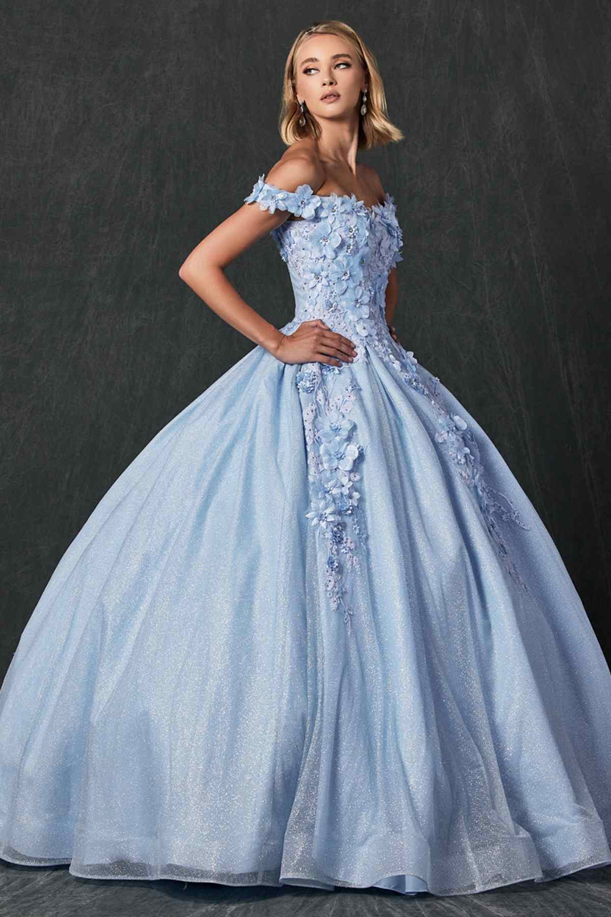 Juliet 1433 Dress Quinceanera Ball Gown 3D Floral Embroidered - Luzilly Bridal & Apparel