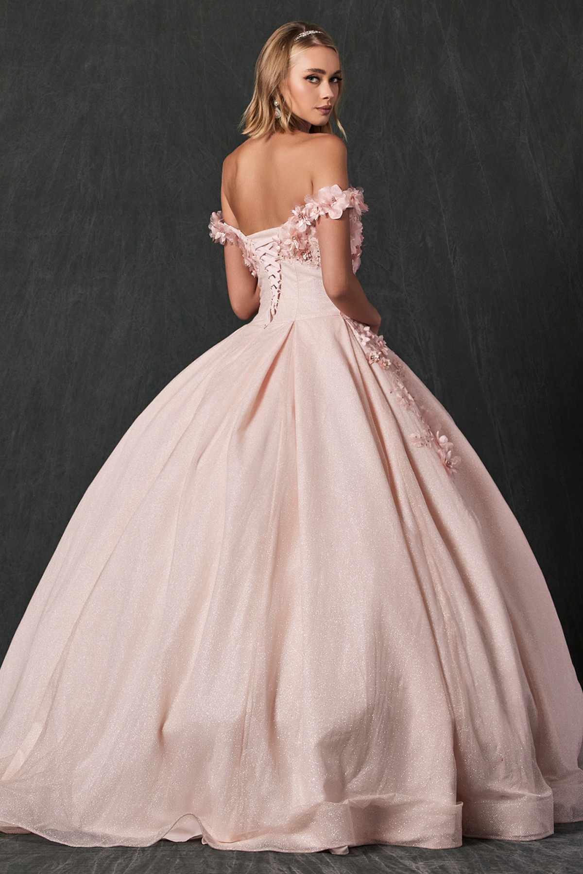 Juliet 1433 Dress Quinceanera Ball Gown 3D Floral Embroidered - Luzilly Bridal & Apparel