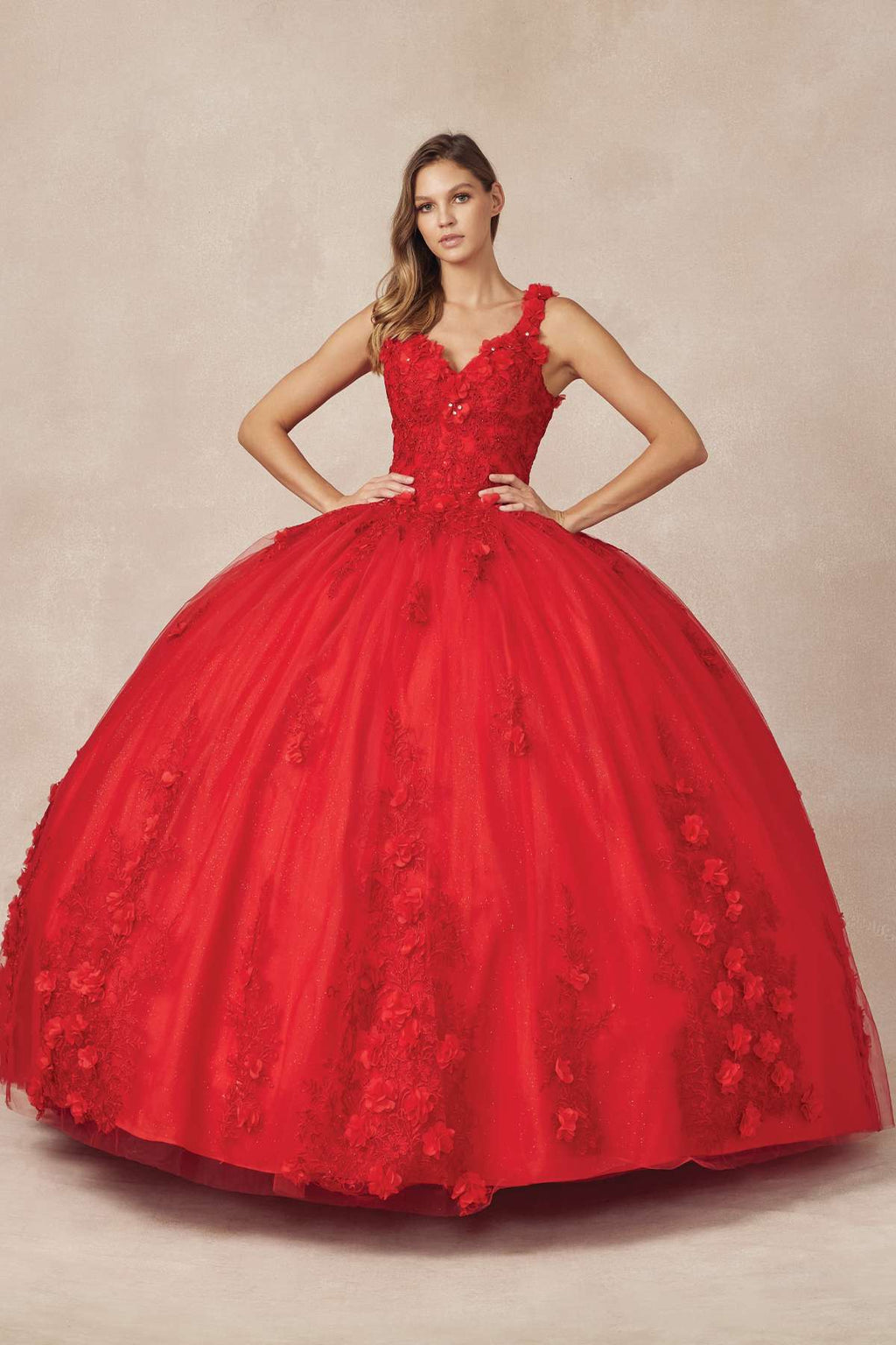Juliet 1437 Floral Applique Quinceanera Ball Gown With 3D Flowers - Luzilly Bridal & Apparel