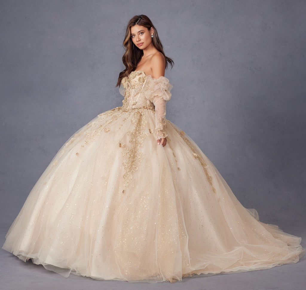 Juliet JT1465H Dress 3d Flowers Applique Puff Sleeve Quinceanera Dress - Luzilly Bridal & Apparel