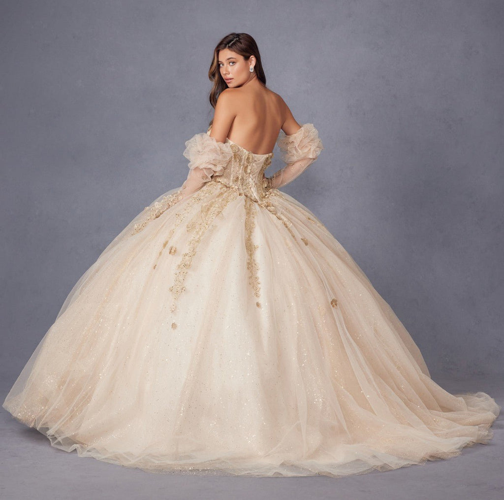 Juliet JT1465H Dress 3d Flowers Applique Puff Sleeve Quinceanera Dress - Luzilly Bridal & Apparel