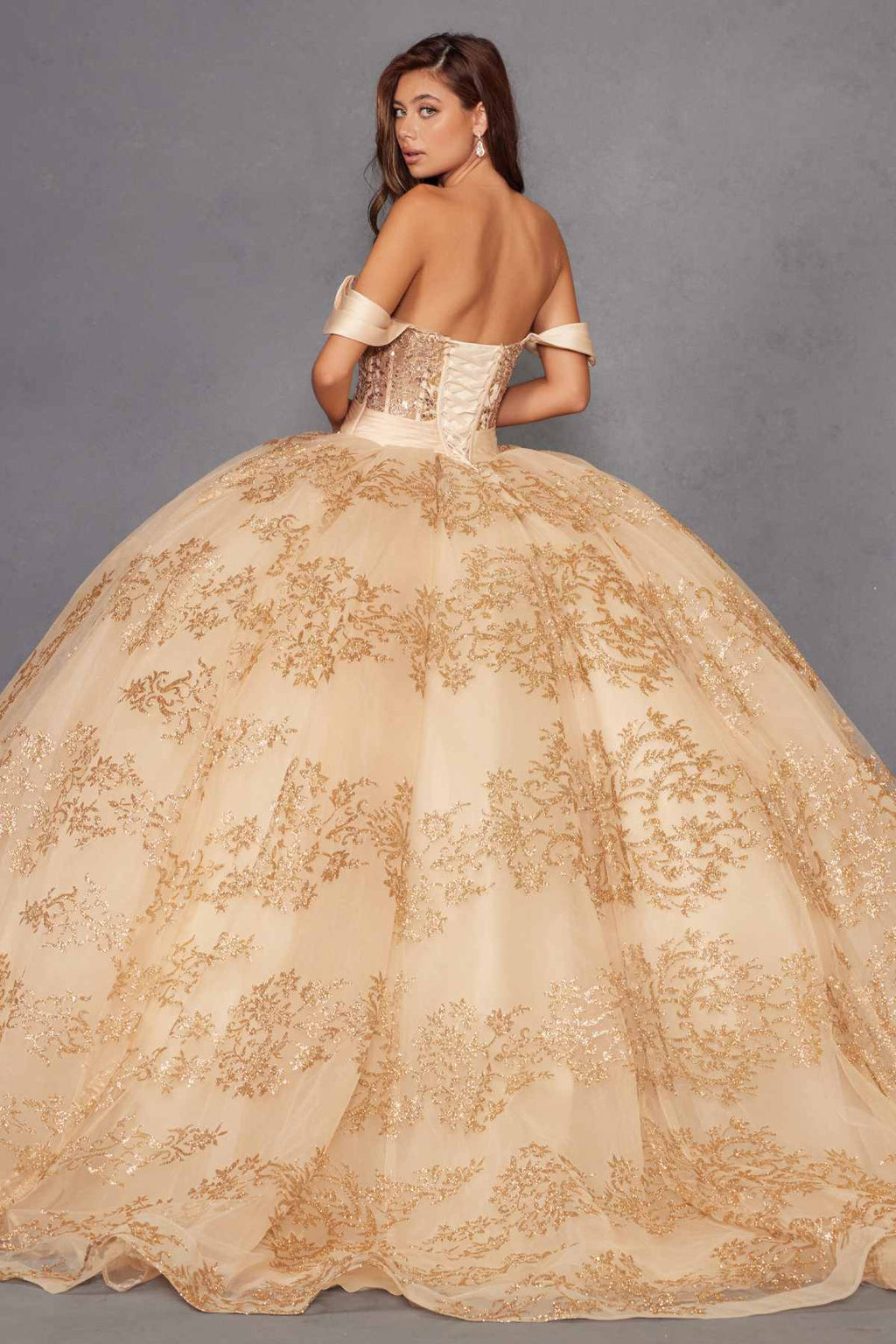 Juliet JT1488H Royal Princess A-Line Ball Gown Quinceanera - Luzilly Bridal & Apparel