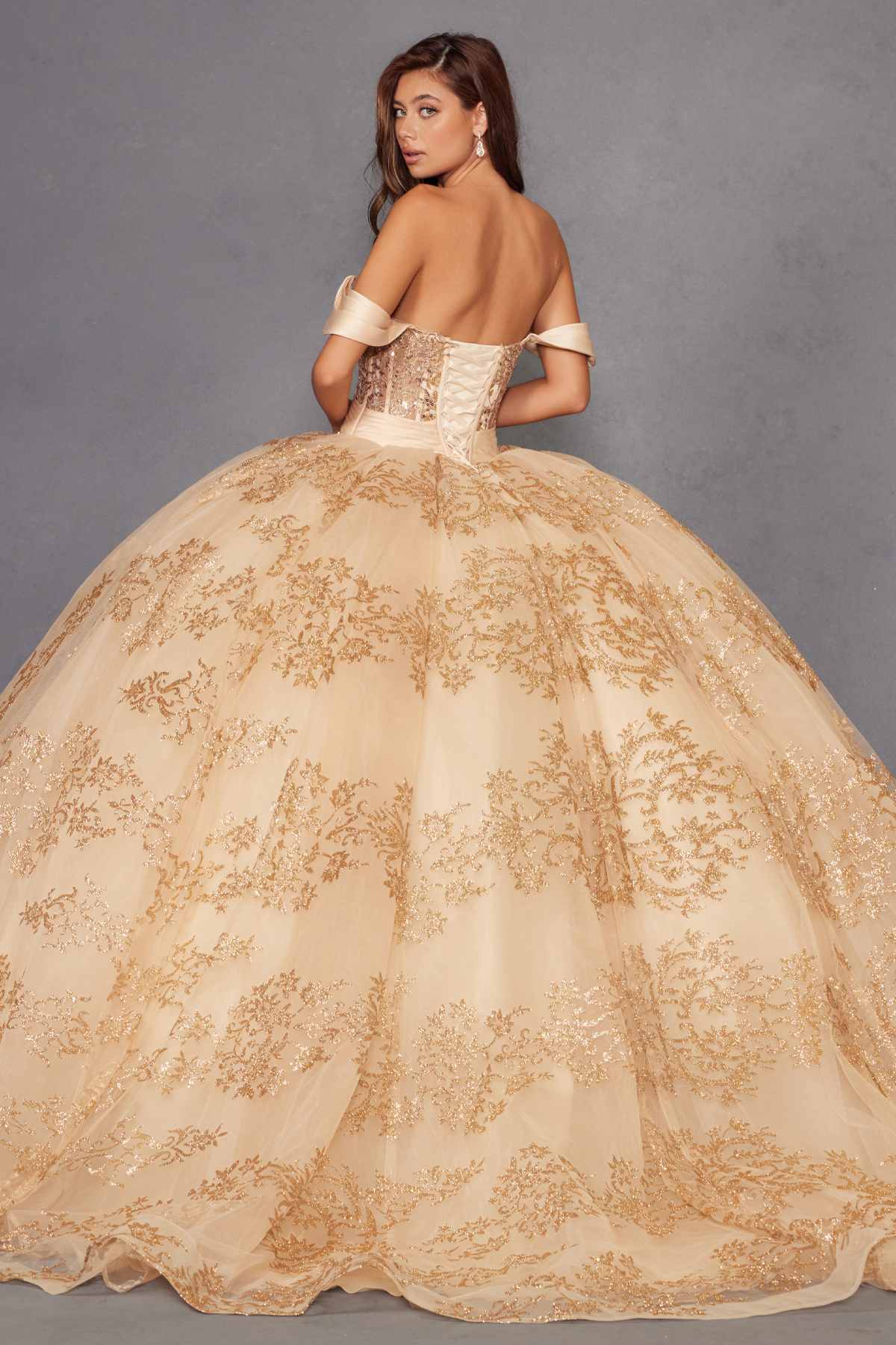 Juliet JT1488H Royal Princess A-Line Ball Gown Quinceanera - Luzilly Bridal & Apparel