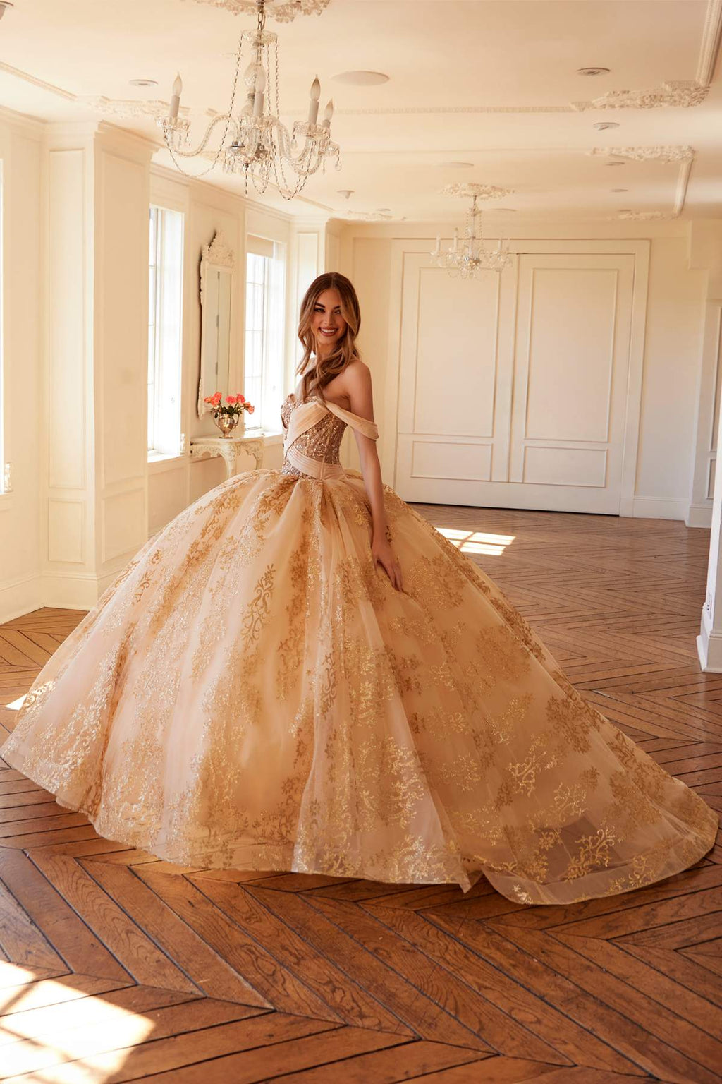 Juliet JT1488H Royal Princess A-Line Ball Gown Quinceanera - Luzilly Bridal & Apparel