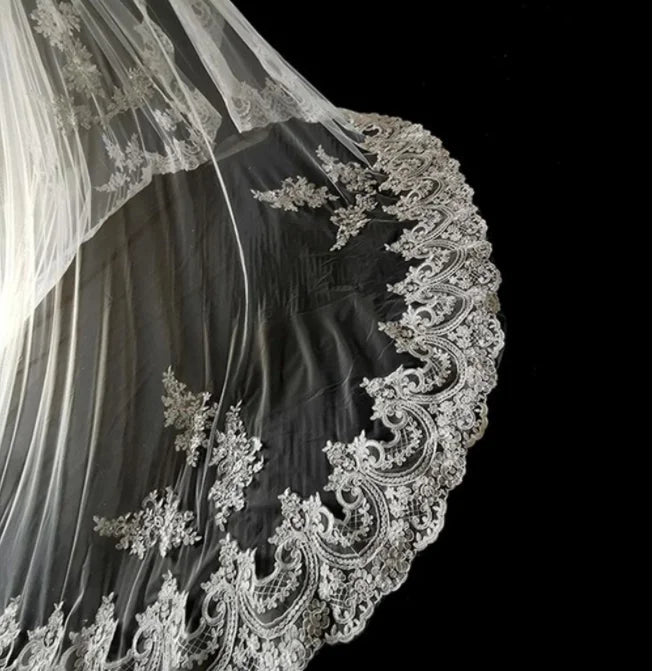 Lace Appliqué Edge Cathedral Wedding Veil - Luzilly Bridal & Apparel