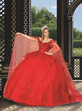 Lilac Butterfly Tulle Quinceañera Ball Gown - Luzilly Bridal & Apparel