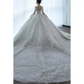 Luxury Princess Wedding Gown With Pearls EDW237 - Luzilly Bridal & Apparel