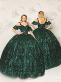 Short-Sleeve Floral Quinceañera Ball Gown - Luzilly Bridal & Apparel