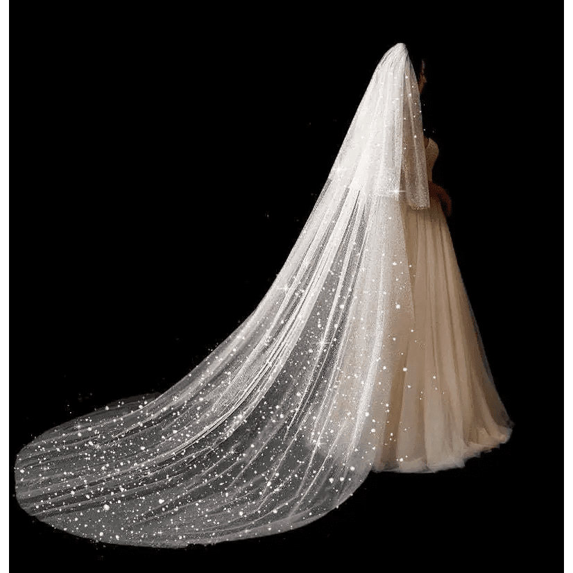 Sparkling Wide Cathedral Bridal Veil - Luzilly Bridal & Apparel