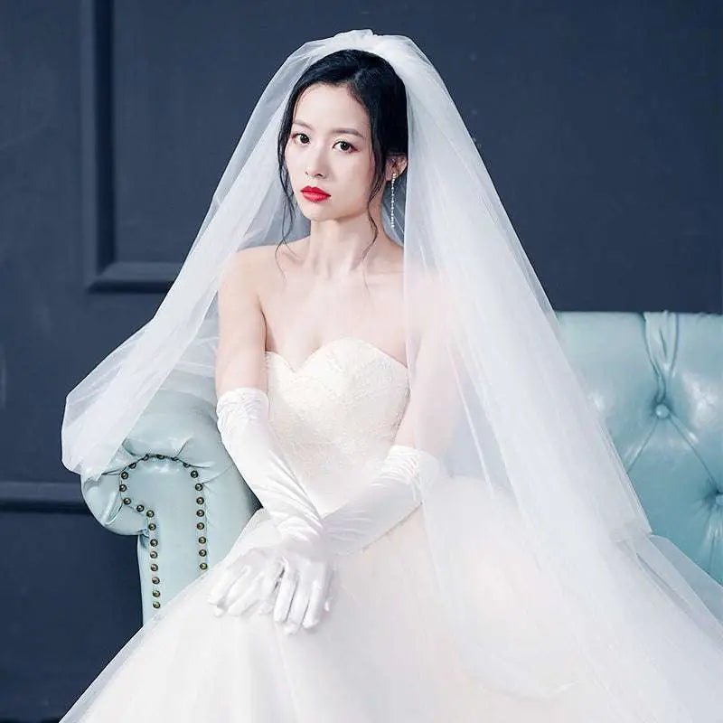Sparkling Wide Cathedral Bridal Veil - Luzilly Bridal & Apparel