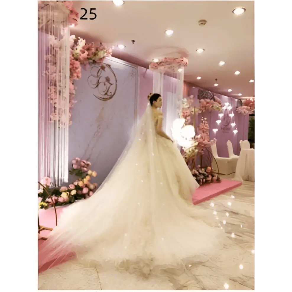 Sparkling Wide Cathedral Bridal Veil - Luzilly Bridal & Apparel