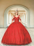 Tulle & Embroidery Quinceañera Ball Gown - Luzilly Bridal & Apparel